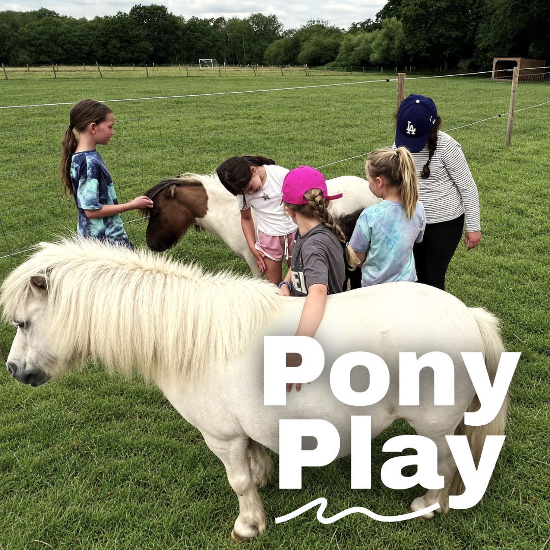 Pony Play