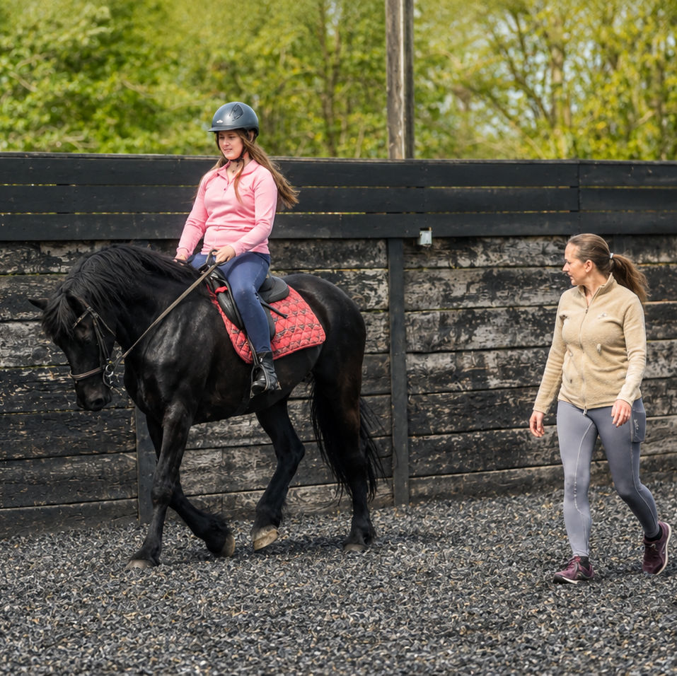 Beginner Riding Group Lessons
