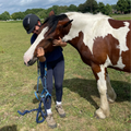 Equine Sessions with Gabby