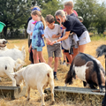 Junior Elysian Farmers - Taster Session