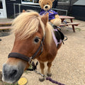Pony Play