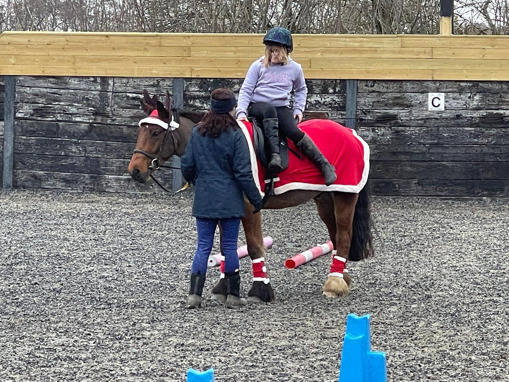 Riding Assessment