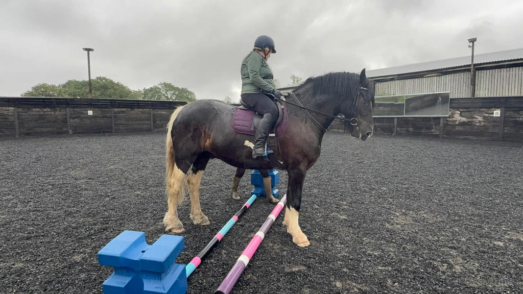 Riding Assessment
