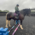 Novice Riding Group Lessons