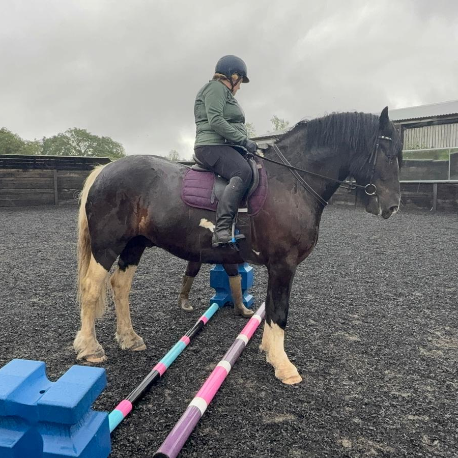 Novice Riding Group Lessons